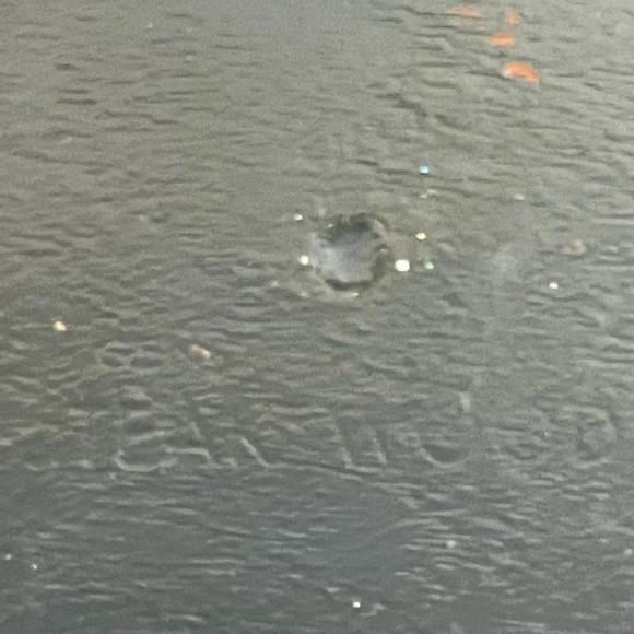 Snowman Wooden Teakwood Bowl Handpainted - Picture 5 of 6